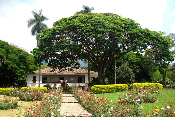 El Cerrito: Tour a Hacienda El Paraíso y Museo de la Caña