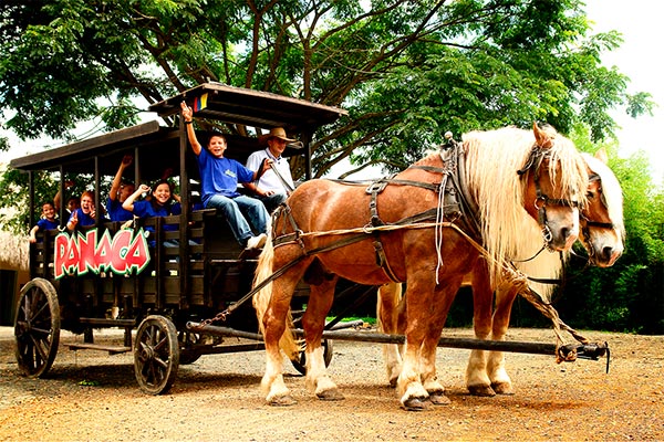 Visita a Panaca