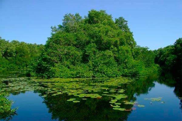 Visita Parque Isla de Salamanca