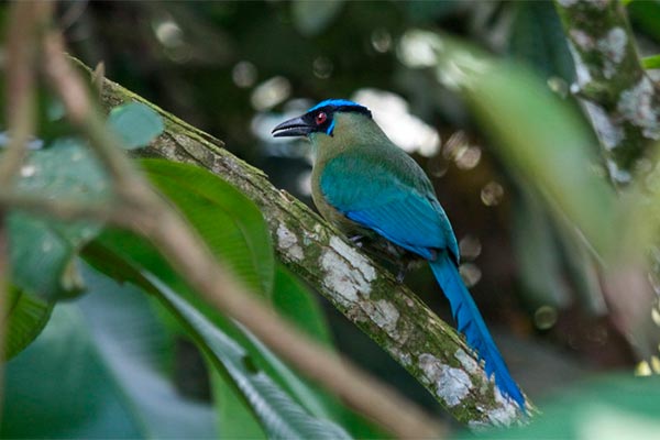 Visita a Reserva Natural de Nirvana