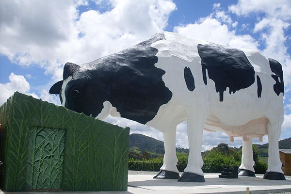 Ruta de la Leche