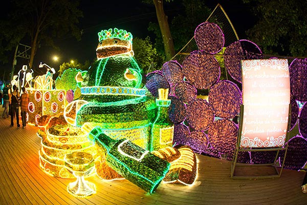 Medellín Navidad Tour Alumbrados