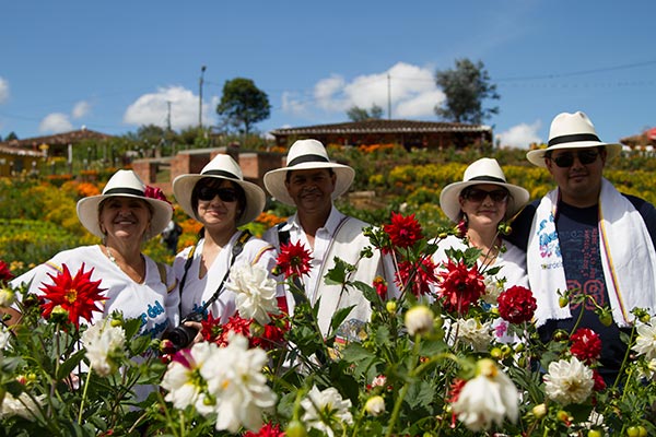 Tours y Actividades