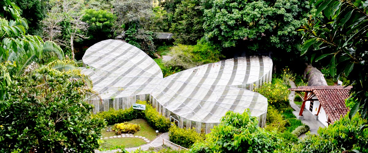 Mariposario Eje Cafetero, Viaje Colombia Outlook